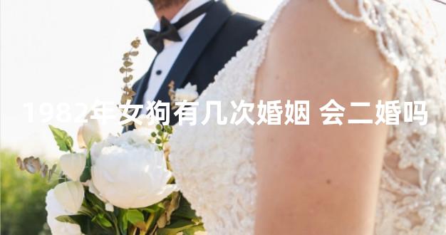 1982年女狗有几次婚姻 会二婚吗